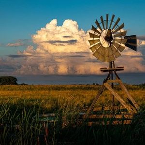 Meet your Posher, Rickie